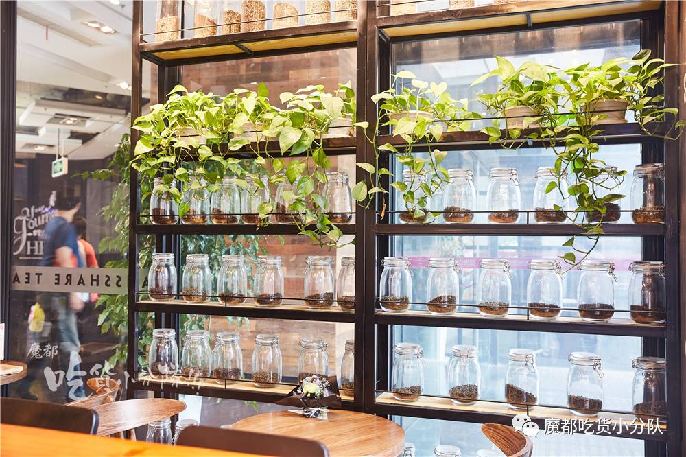 1款饮料，从名字到颜色，骗我2次