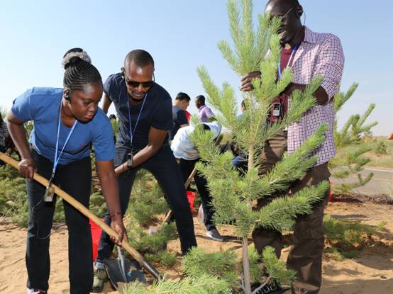 非洲27国记者聚焦库布其记录中国治沙故事