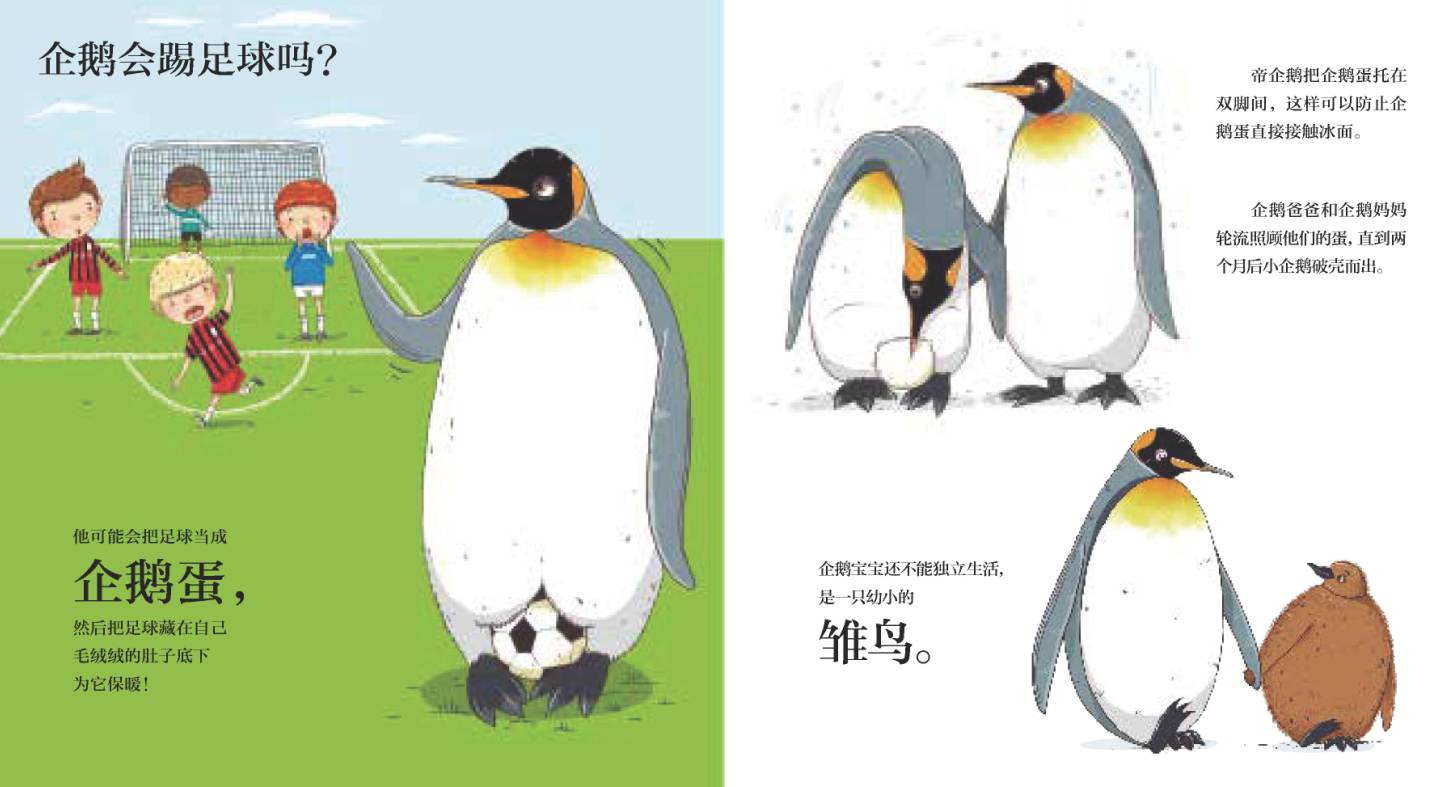 科普绘本推荐7-12岁科普绘本,一本让宝宝脑洞大开的绘本