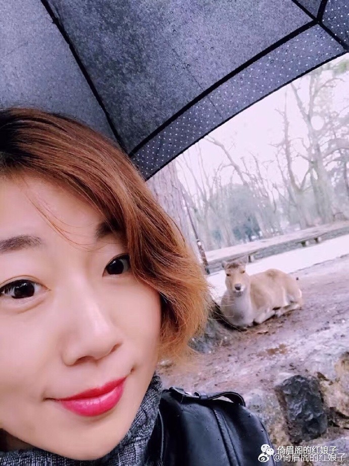 分裂与纠结——浮光掠影看日本