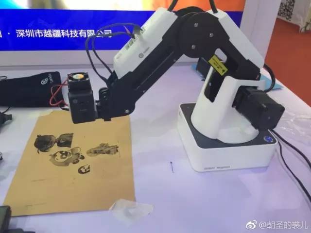 「科博随手拍」新媒体UGC志愿者眼中的第二十届科博会IV