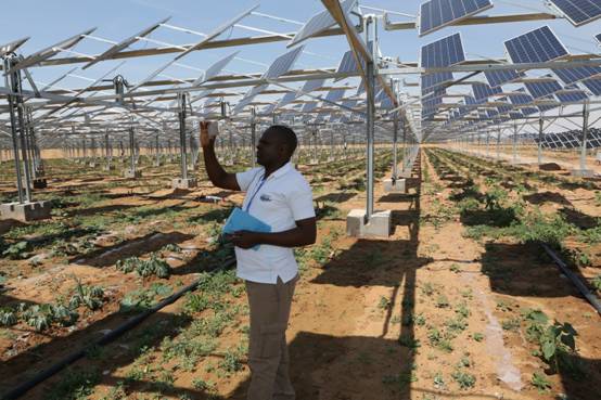 非洲27国记者聚焦库布其记录中国治沙故事