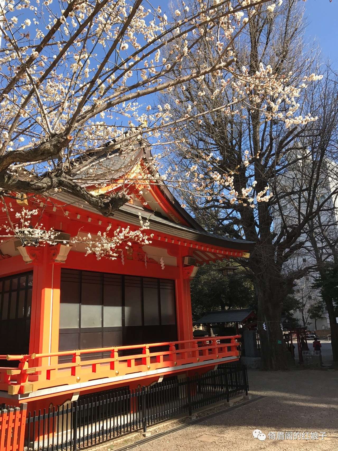 分裂与纠结——浮光掠影看日本