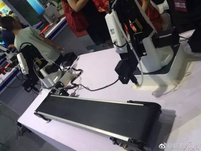 「科博随手拍」新媒体UGC志愿者眼中的第二十届科博会IV