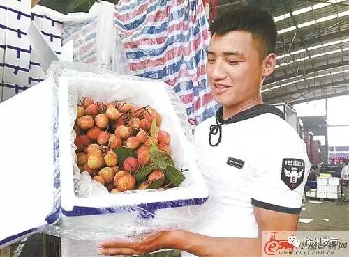 「“掌握”徐州」观音机场来了检疫犬，咋回事？