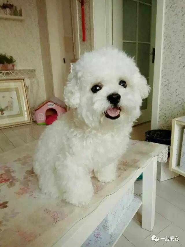 宠爱故事100个,宠爱剧情梗概