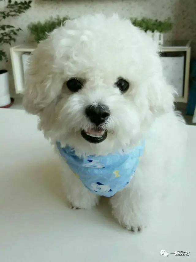 宠爱故事100个,宠爱剧情梗概