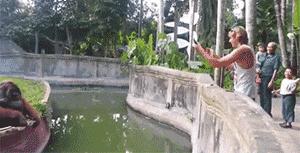 现在排雷有什么好的方法,排雷是怎么操作