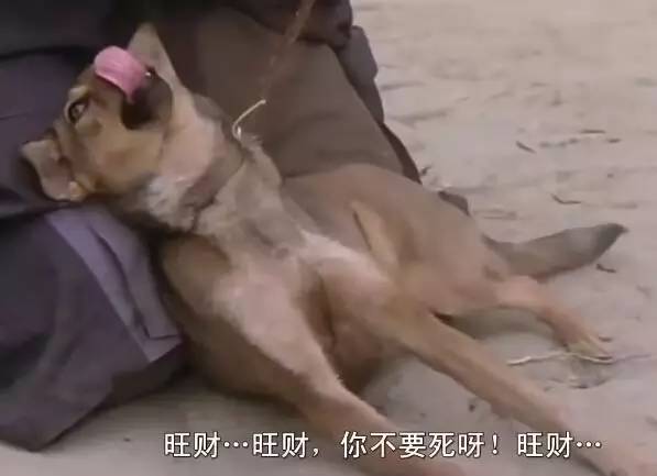 周星驰最重要的五个电影角色,周星驰十大经典角色