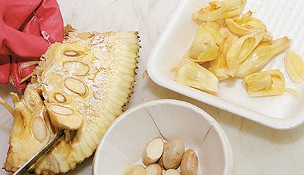 菠萝蜜为什么叫千刀砍,菠萝蜜为什么要挨几刀才结果