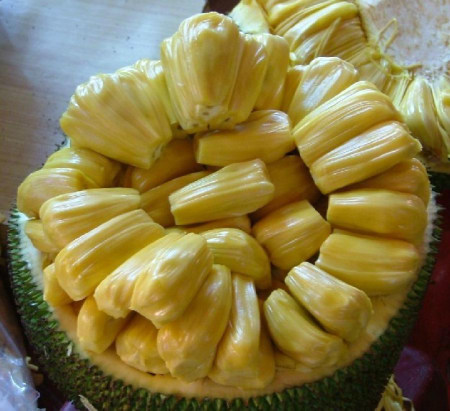 菠萝蜜为什么叫千刀砍,菠萝蜜为什么要挨几刀才结果