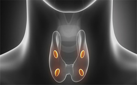 透析病人pth偏高血钙偏低,透析病人高钙血症怎么处理