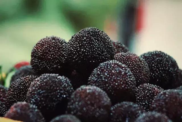 杨梅有小白虫把它用盐水泡出来,不谨慎吃了杨梅里的小白虫怎么办