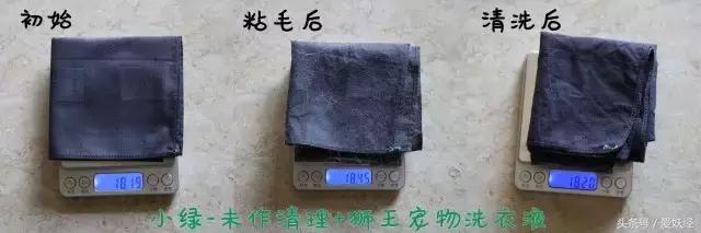 养宠物专用洗衣液推荐,宠物无害洗衣液