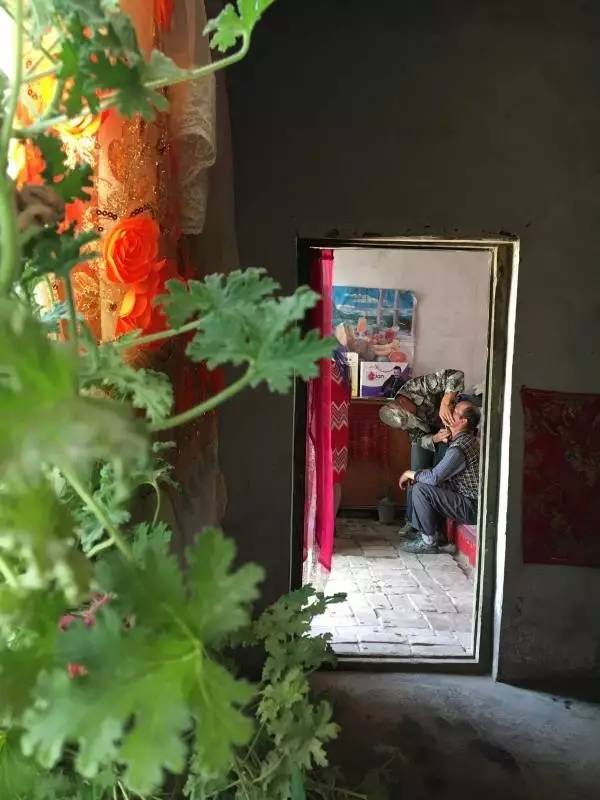 九零后牧羊人,新疆年轻牧羊人