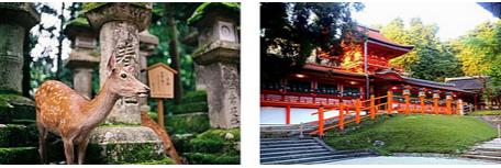 一周游玩攻略省钱,一周旅游自由行攻略