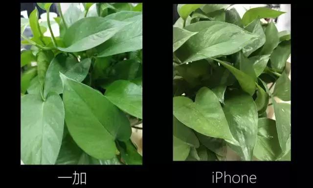 现在一加5值得购买吗,一加5是否值得入手