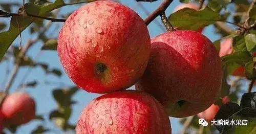 苹果保鲜的最佳温度是多少呀,苹果的保鲜方法有哪些