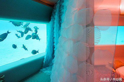 马尔代夫十大岛屿排名,马尔代夫岛屿5000以下