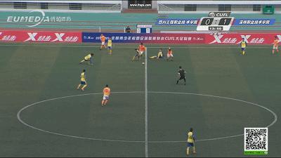 全国高职组足球联赛,大学生足球联赛甲组名单