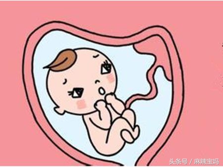 孕30周脐带绕颈2周胎位不正怎么办,24周胎儿脐带绕颈2周怎么办