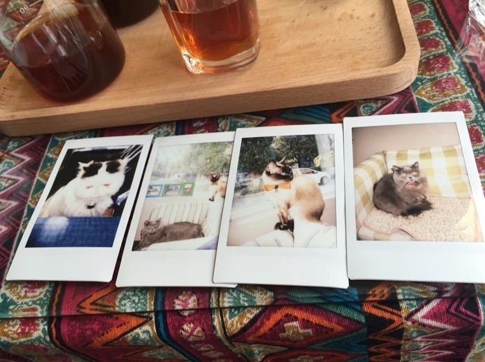 丽江最好的甜品店,丽江下午茶甜品店