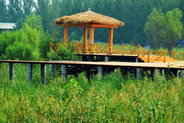 玩自驾，住帐篷，开启一段自驾游的旅行，河南这些露营地你知道吗？