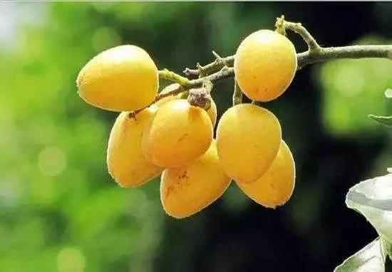 啊！好咸！好爽！喝完一袋盐后小编身残志坚，只为告诉你谁是老盐界的no.1！