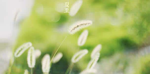 立夏贴士｜夏季贪凉谨慎妇科疾病黏上你！