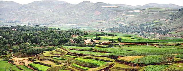 最赚钱农业项目有哪些,掌握这6种能力成就你更好的未来