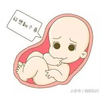 乾坤大挪移臀位手术,臀位头位乾坤大挪移