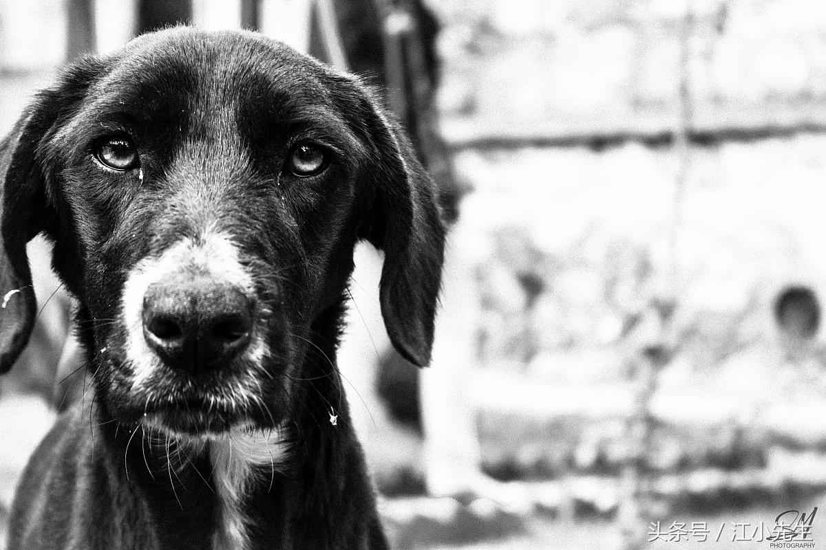 在济南多少钱活得才算体面,在济南月薪多少才有安全感