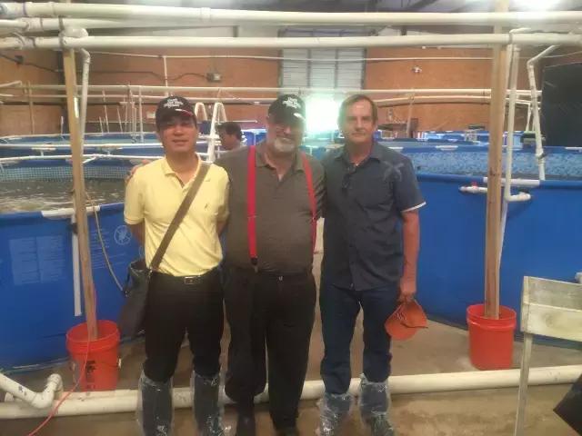 “李逵”遇李鬼,李逵遇李鬼的视频