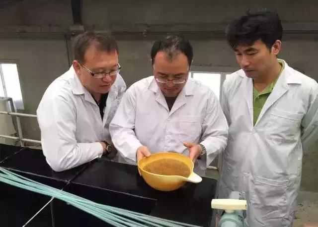 “李逵”遇李鬼,李逵遇李鬼的视频