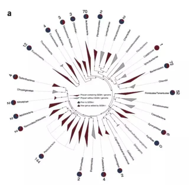 鎺㈢储缁嗚弻涓栫晫,鍙戠幇涓庢帰绱㈠井鐢熺墿鎻