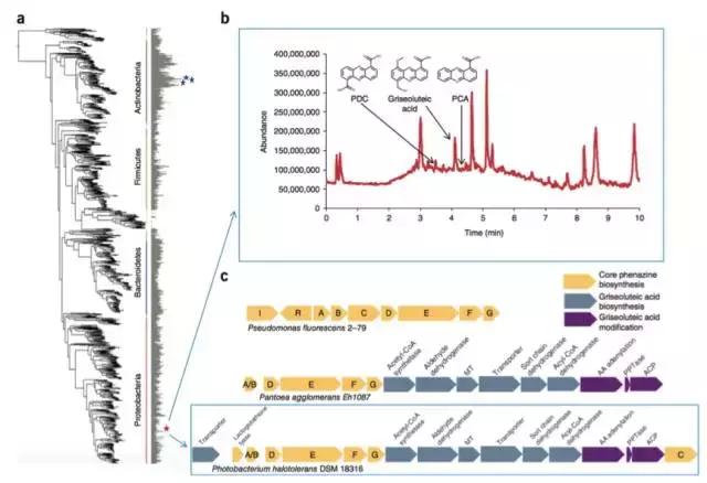 鎺㈢储缁嗚弻涓栫晫,鍙戠幇涓庢帰绱㈠井鐢熺墿鎻