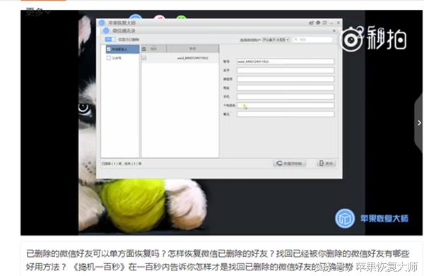 新浪微博下架事件,新浪微博停业整顿