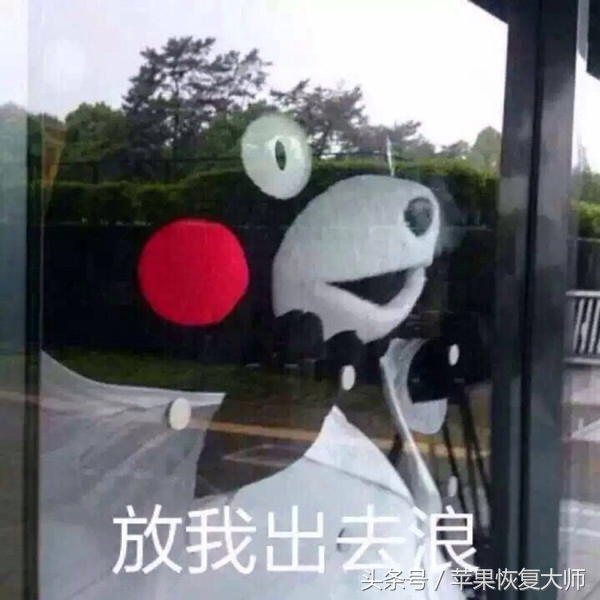 新浪微博下架事件,新浪微博停业整顿