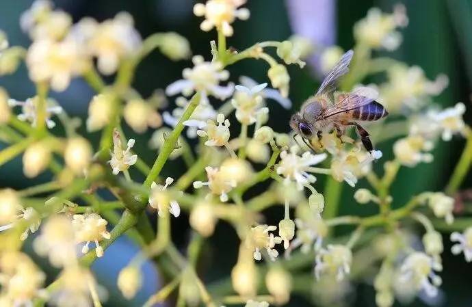 美文美图精选秋景,美文美图佳句