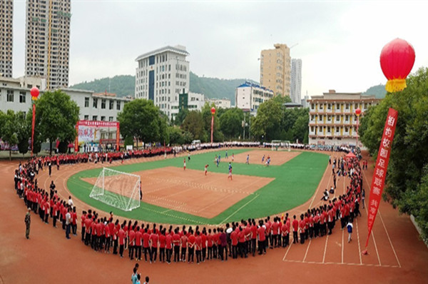 绿茵球场活力四射,绿茵场上神采飞扬