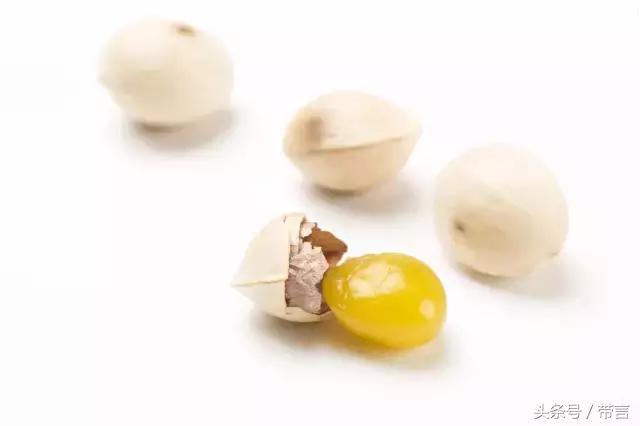 美梅的梦想｜世界最古老植物的馈赠——泰兴银杏