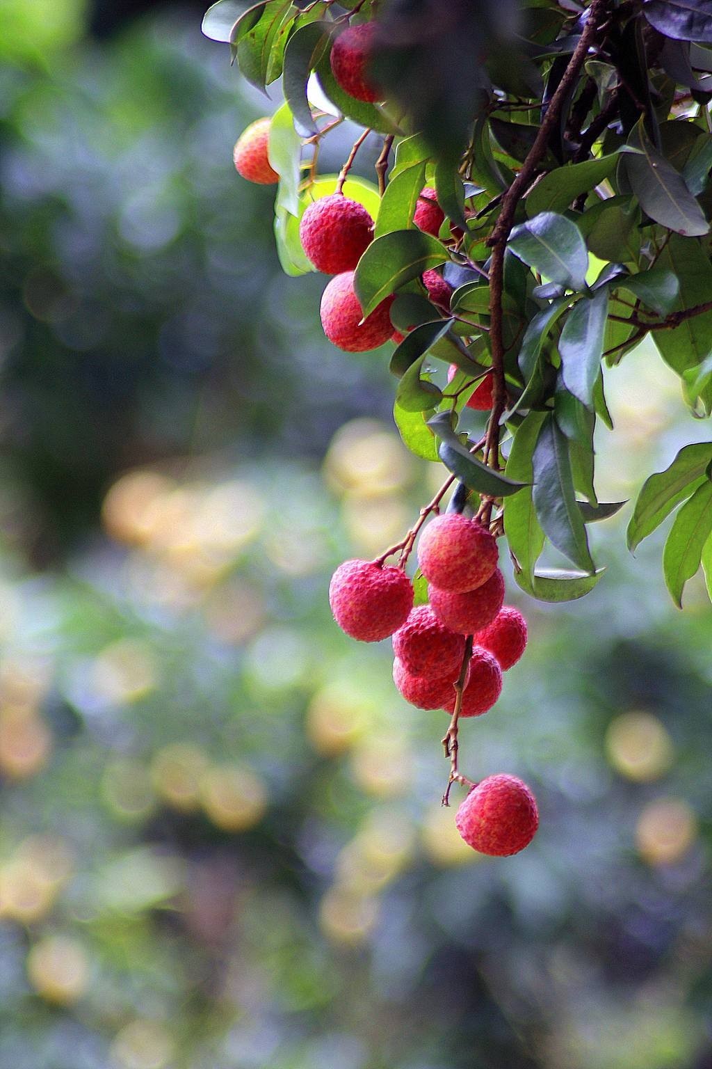 美文美图精选秋景,美文美图佳句
