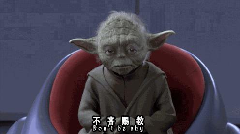 秘鲁巨型荷兰猪真的有吗,秘鲁荷兰猪巨型