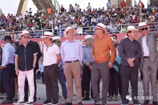 2019骞村唴钂欏彜閫熷害璧涢┈,鍐呰挋璧涢┈椹笟