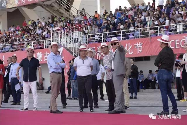 2019骞村唴钂欏彜閫熷害璧涢┈,鍐呰挋璧涢┈椹笟