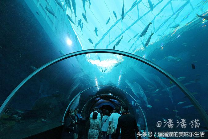 新加坡圣淘沙一日游路线图,新加坡圣淘沙游玩攻略费用