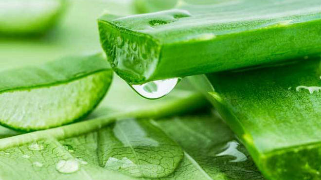 怎样食疗根治顽固性湿疹,食疗缓解湿疹在家就能做