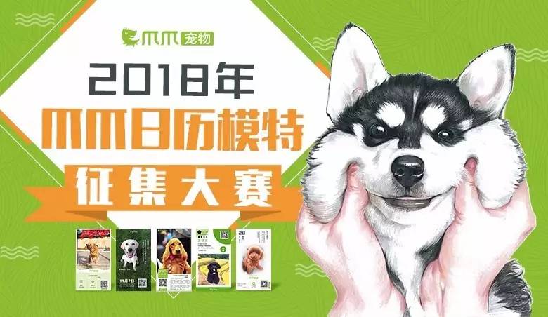 狗狗常见对称性皮炎,狗狗最常见的皮肤病有哪些