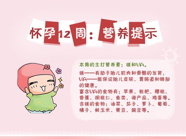 怀孕初期一到三个月要关注什么,怀孕早期三个月要关注什么