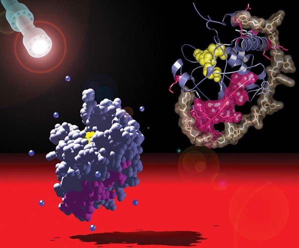 古代皇帝炼制仙丹跟化学的关系,古代炼丹术炼出的东西靠谱吗